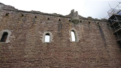 African or European Swallow