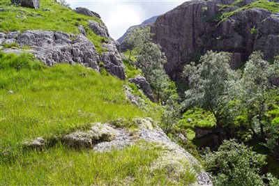 The Bridge Of Death 4