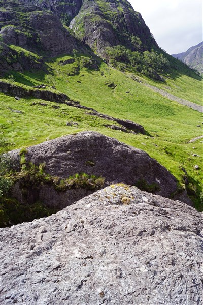 The Bridge Of Death 2